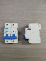 Disjoncteur miniature DC dédié aux systèmes photovoltaïques 2P 1000VDC 100A Courbe D Protection contre les surcharges et les courts-circuits
