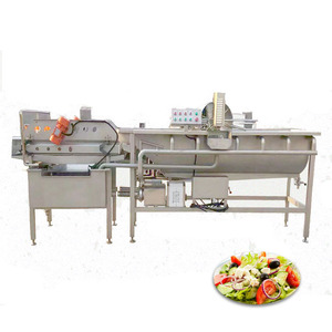 Máquina de Limpieza de Frutas y Verduras Totalmente Automática Tipo Turbina, Lavadora de Verduras de Hoja, Patatas y Tomates - Product Image 4