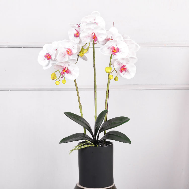 หัวใจสีขาวและสีชมพู