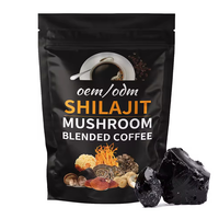 Extrait de Shilajit OEM, café aux champignons premium avec collagène de Shilajit, boisson fonctionnelle pour l'énergie pendant l'entraînement
