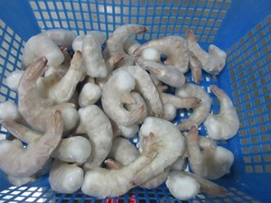 Suministro de China de alta calidad Fujian <span class=keywords><strong>o</strong></span> Shantou Factory Iqf Frozen Vannamei Shrimp - Product Image 3