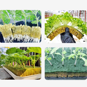 Hydroponische Rockwool blokken voor de teelt van tomaten, komkommers en sla - Product Image 6