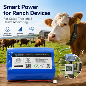 Pack de batteries LiFePO4 32700 3.2V 12Ah pour traceur GPS de bétail, bovins, moutons, OEM personnalisé - Product Image 1