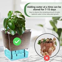 Bonsai Pot bunga sukulen transparan, Pot tanaman dalam ruangan, Pot plastik bening untuk tanaman air sendiri