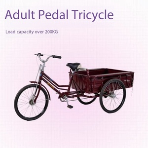 Triciclo Manual <span class=keywords><strong>para</strong></span> <span class=keywords><strong>Adultos</strong></span> de 24 Pulgadas, Una Velocidad, Acero al Carbono Reforzado, Llantas de Aleación de Aluminio, Marco Desmontable, Carga Máxima de 300 kg - Product Image 4