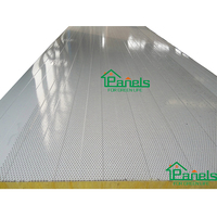 Panneau mural isolant thermique PUR pour chambre froide, panneau sandwich isolant en mousse de polyuréthane PIR, extérieur