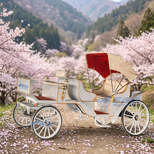 Charrette royale de tourisme au design unique, chariot de Cendrillon pour la vente, chariots à chevaux de tourisme pour mariage - Product Image 1