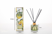 Bouteilles en verre transparent Yoyolo de haute qualité 50ml-200ml pour diffuseurs à bâtonnets, sans alcool, parfum longue durée, fabriquées à la main en usine