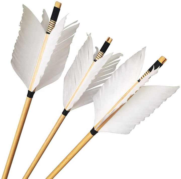 Plume De Flèche Plastique Flex-Fletch FFP200 (par 100) – Donut Archery