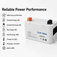 Batería de Litio de Ciclo Profundo Arcane Surge WKC-F06-1280 12.8V 100Ah LiFePO4 1.28kWh, 4000 Ciclos, para Almacenamiento de Energía Solar RV, 12.5kg
