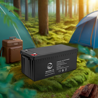 Batterie solaire certifiée CE 12V 200AH pour le type scellé AGM au plomb pour le stockage d'énergie