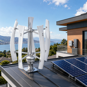 Generador Eólico Doméstico de 600W 800W 1kW, 24V 48V, Eje Vertical VAWT para Techo, Sistema Híbrido Solar Fuera de la Red WS-VA-600-1000 1kW Vertical - Product Image 1