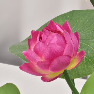 סימולציה קטן לוטוס פלסטיק מזויף פרחי סלון בית בודהה אולם בריכת דגי טנק קישוט מים לוטוס - Product Image 5