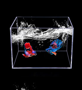 Aquarium transparent ultra-blanc en acrylique, offre spéciale du monde - Product Image 4