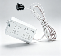 Détecteur de mouvement PIR pour porte 800W 110-240VAC 5-6cm, activation par proximité IP20 pour le contrôle de l'éclairage des armoires et tiroirs