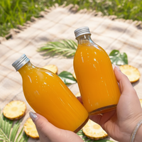 Bouteille en verre ronde personnalisée OEM en gros, économique, pour boissons, 200 ml, 8 oz, 10 oz, 350 ml, 500 ml, 16 oz avec bouchon à vis pour jus