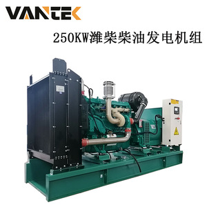 เครื่องกำเนิดไฟฟ้าดีเซล Jiangsu Wantai ขนาด 250 กิโลวัตต์ 400 โวลต์ 50 เฮิรตซ์ 1500 รอบต่อนาที พร้อมระบบ ATS สำหรับสำรองไฟฟ้าในโรงแรม - Product Image 3