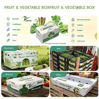 Boîtes d'emballage pour légumes en plastique PP durables et recyclables personnalisables, boîte en PP, boîte en plastique ondulé pour fruits