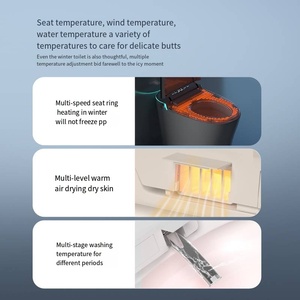 Nhiều màu thông minh sứ Wc Phong Cách Hiện Đại inodoro tầng gắn tự động tủ quần áo phòng tắm gốm thông minh nhà vệ sinh - Product Image 6