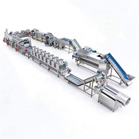 Ligne de production industrielle entièrement automatique de frites surgelées 1000 kg/h, machine à fabriquer des frites fraîches à partir de pommes de terre, à vendre