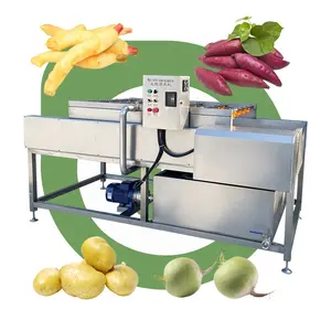 Automatic Food Leafy Bubble Washer Orange Vegetable Fruit Wash Machine Line and Fruit with Lifter