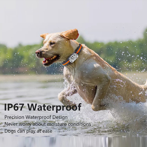 <span class=keywords><strong>2025</strong></span> Mới Nhất Mini Định Vị Toàn Cầu Hệ Thống Thông Minh Chống Mất Thiết Bị Chống Thấm Nước Định Vị Hỗ Trợ Cuộc Gọi Bằng Giọng Nói - Product Image 4