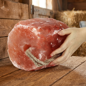 Mejores Ladrillos de Sal del Himalaya 2026 al por Mayor, Forma Redonda, Precio Directo de Fábrica para Cabras, Caballos, Perros y Ganado - Product Image 1