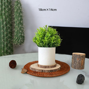 Plantes vertes artificielles Fuyuji, 18 cm, plastique, haute simulation, décorations de bureau - Product Image 4