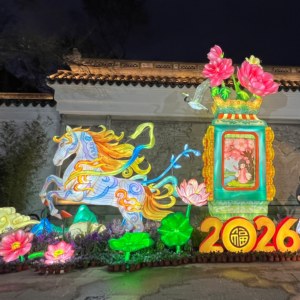 Lanterne géante chinoise personnalisée pour l'extérieur, imperméable, décoration populaire pour le Festival des Lanternes, spectacle de lanternes en soie avec lumières LED pour le parc - Product Image 2