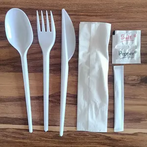 2024新款一次性塑料PS美式餐具套装咖啡勺水果叉刀餐巾