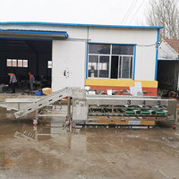 8-10t/u Kleine Kiwi-Komkommer Sorteermachine Automatische Abrikoos-Granaatappel Sorteermachine Pecannoten Rolgraderingsmachine