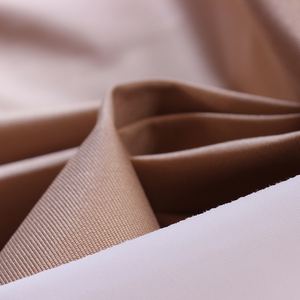 <span class=keywords><strong>Camel</strong></span> 190T 320D recubierto de poliéster absorbente húmedo y transpirable Taslan para rompevientos de tela acolchada de algodón - Product Image 5