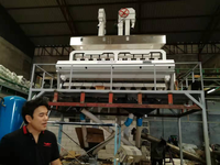 Kapasitas Besar 10Ton/H Mesin Penyortir Warna Amd Gandum Gandum Harga Penyortir Warna Beras