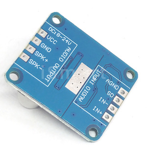 Módulo amplificador digital de alta potencia Mono clase D 4-8ohm DC 12V 24V 8V-24V para altavoz <span class=keywords><strong>10W</strong></span> 20W 30W-300W - Product Image 4