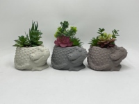 Mini pot de ciment grenouille mignon avec succulente artificielle