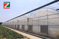 Refroidissement par brumisation pour plantes d'été, rideau de brumisation ventilé, température et humidité optimales