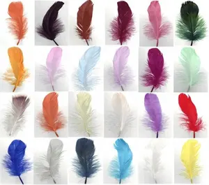 12 to 20 cm Goose Nagoire Feathers for Carnival Costume Decoration