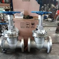Válvula de Compuerta de Acero al Carbono Premium de Vástago Fijo y Asiento Resiliente, Directa de Fábrica, con Cuña de Acero Inoxidable 316L