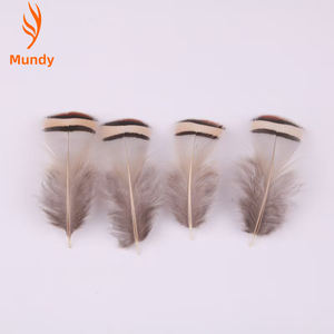 Accessoires de bijouterie artisanaux, 100 pièces, plumes de <span class=keywords><strong>faisan</strong></span> chukar naturelles de 4 à 8 cm, petite taille, plumes de <span class=keywords><strong>faisan</strong></span>, décoration pour la fête des mères, décoration de mariage - Product Image 6