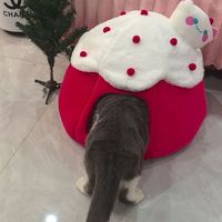 Coussin pour chat d'hiver chaud et fermé, style actif rouge, en forme de citrouille et de gâteau, amovible, lavable, en PP haute résilience