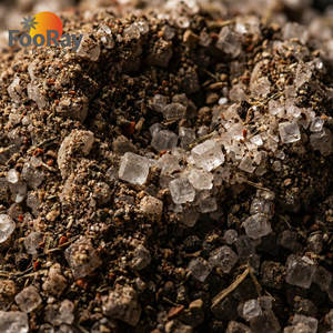 Mélange d'assaisonnement piquant et anesthésiant de poivre de Sichuan premium en poudre, torréfié, pour barbecue et trempettes - Product Image 2