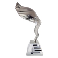 Trophées, médailles et plaques personnalisés en métal argenté pour la reconnaissance des ressources humaines, cadeaux d'entreprise