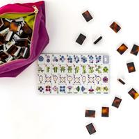 Jeu de Mahjong Américain Classique en Écaille de Tortue, Luxe Moderne, Pliable et Portable, Tuiles en Acrylique pour Jeux de Casino