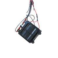 Chauffe-air PTC 100-700W, élément chauffant PTC isolé, outils de chauffage DIY pour boîte de séchage d'animaux