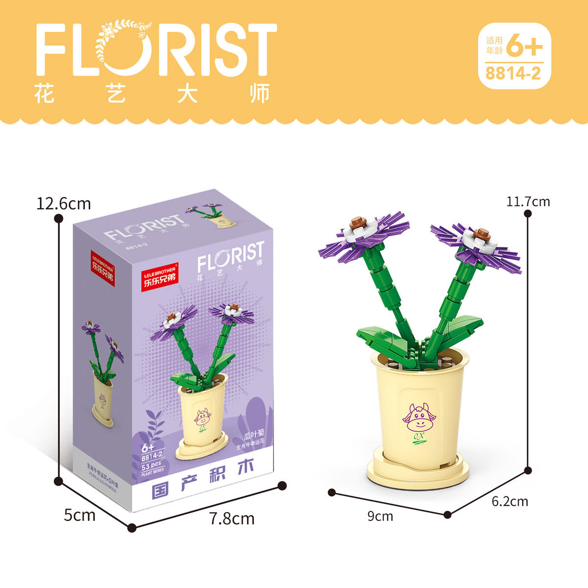 8814-2Pericallis ไฮบริดดา53ชิ้น