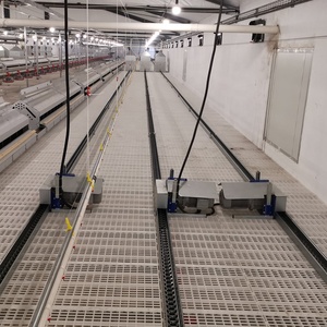 Système d'alimentation automatique en chaîne pour élevage de poulets reproducteurs, équipement d'élevage de volailles, mangeoire en chaîne - Product Image 4