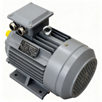 Moteur électrique asynchrone triphasé AC IE3 à haut rendement, BIODÉT YE3-80M1-2P, 0,75 kW, 3000 tr/min, 380 V/50 Hz, enroulement 100 % cuivre