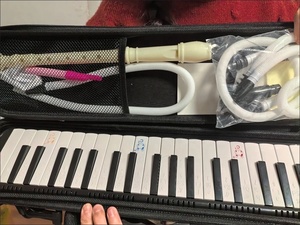 Harmonica Clavier Piano 32 Touches <span class=keywords><strong>Melodion</strong></span> 24 Trous avec Embouchure et Tuyau, Léger en Résine ABS pour Élèves du Primaire - Product Image 1