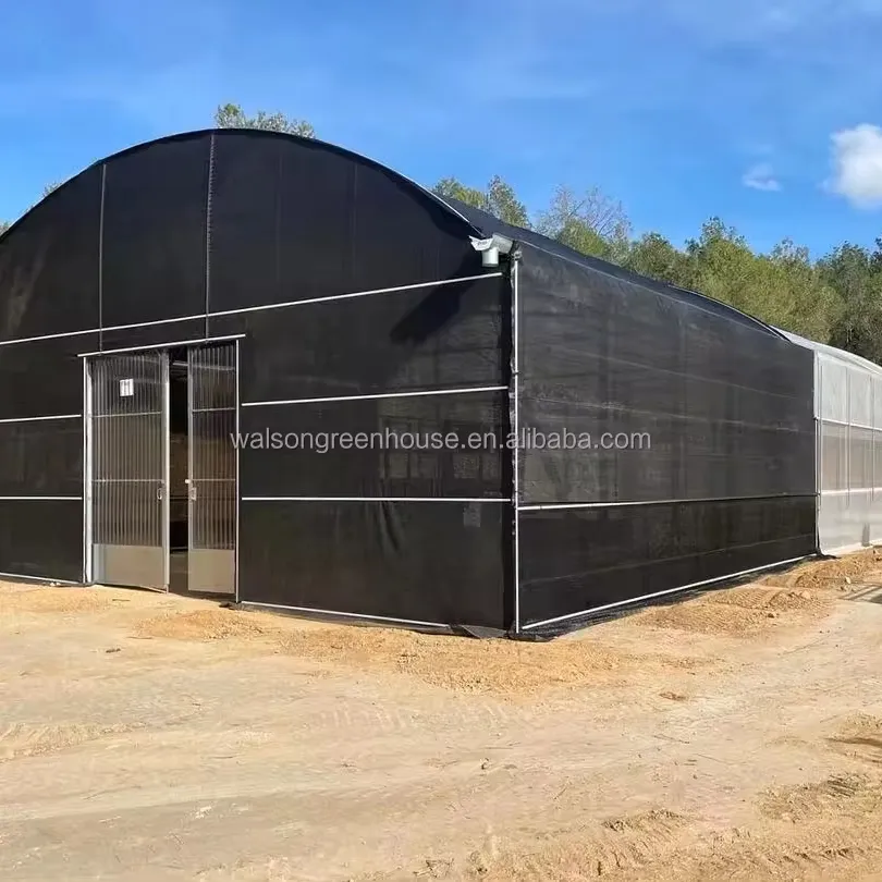 Economic tunnel tomato greenhouse with shading net film green house
