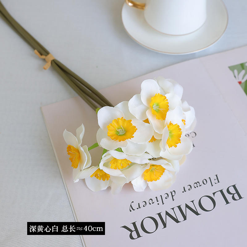 Cœur jaune profond, blanc.